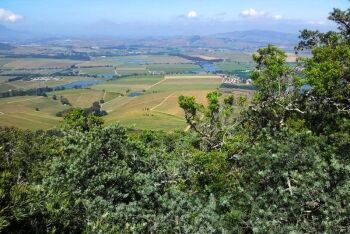 Klapmutskop - Stellenbosch winelands